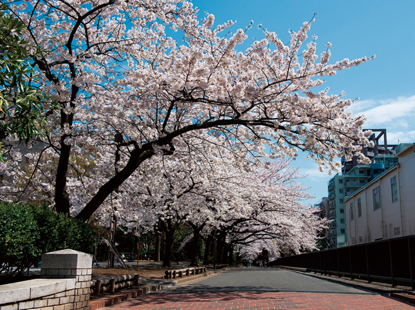 Surrounding environment. Sendai Horikawa park (about 170m ・ A 3-minute walk)