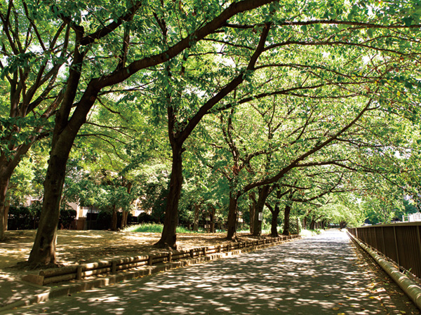 Surrounding environment. Sendai Horikawa park (WT about 520m ・ 7 min walk, ET about 510m ・ About 3.7km also continue along the diversion of a 7-minute walk) Onagi River "Sendai Horikawa park" is, Forest of Friendship, Forest fruit, Distinctive seven of forest, such as forest of science Ya, Fish pond, With a hydrophilic facility that can swim in a river, It is a water park.