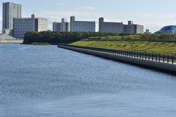 Toyosu 6-chome second park (about 380m) overlooking the Shinonome moat from (November 2012 shooting). The maximum height of the tsunami by the Tokyo Metropolitan Government has published A.P. at the time of high tide + 4.65m. Toyosu Pier is servicing the tide revetment of A.P. + 6.5m, Building the first floor level is to ensure the A.P. + 8.8m (A.P. Arakawa standard water surface (short for Arakawa Peil))