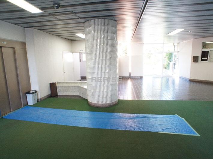 Entrance. Elevator before