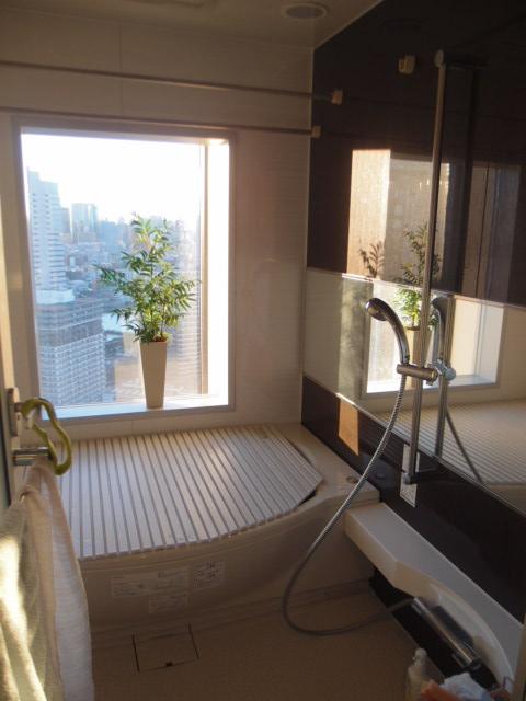 Bathroom. Indoor (12 May 2012) shooting