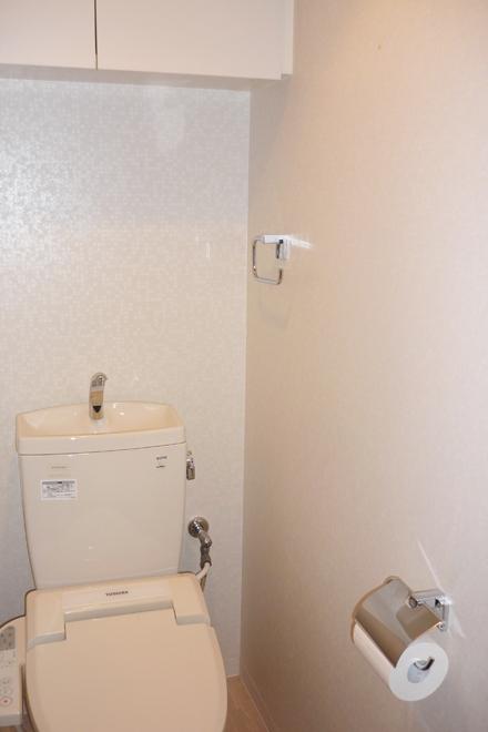 Toilet. With storage toilet