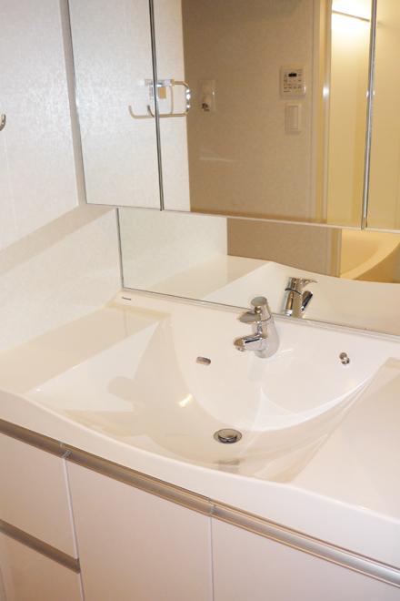 Wash basin, toilet. Basin sink comfortably large