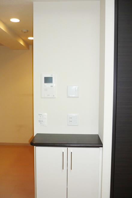 Other. There is also a nice cabinet