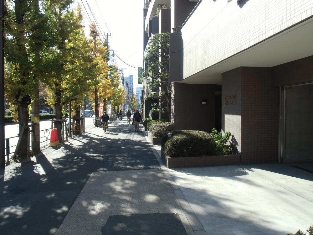 Other local. Local (12 May 2013) Shooting