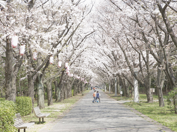 Surrounding environment. Tatsumi of forest green road park (about 1040m / Walk 13 minutes)