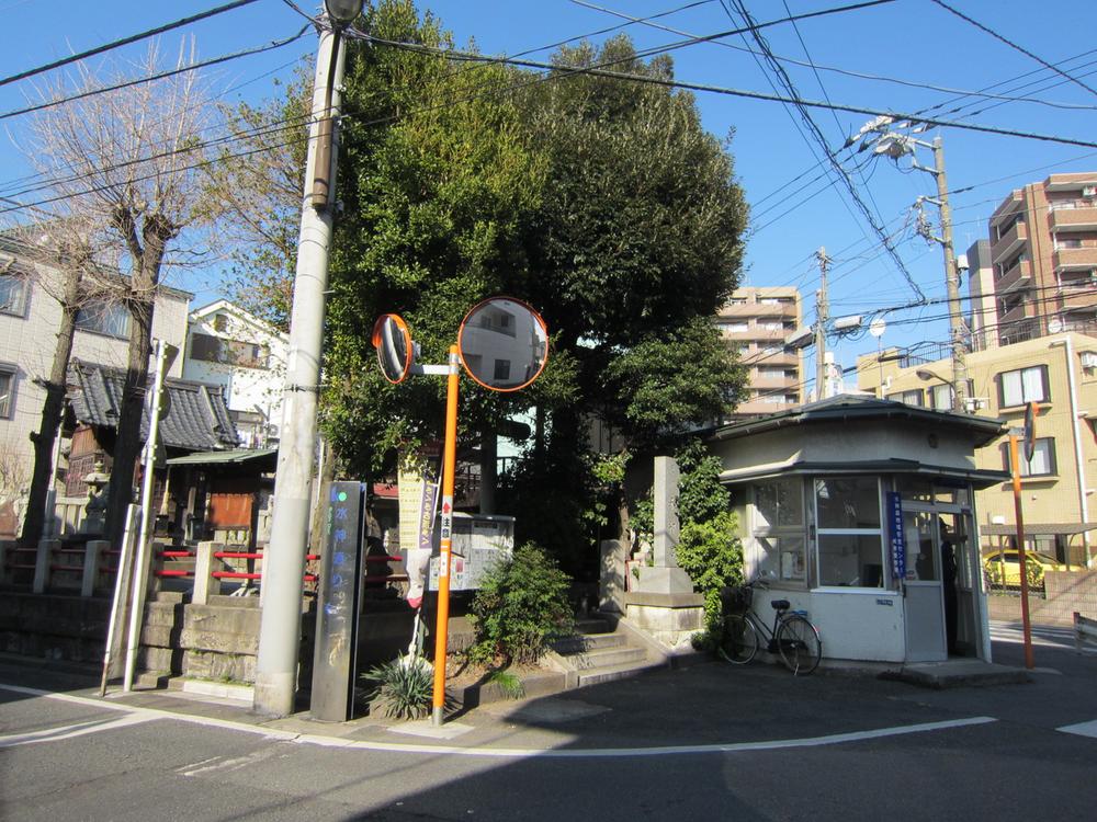 Other. God of water forest alternating 100m