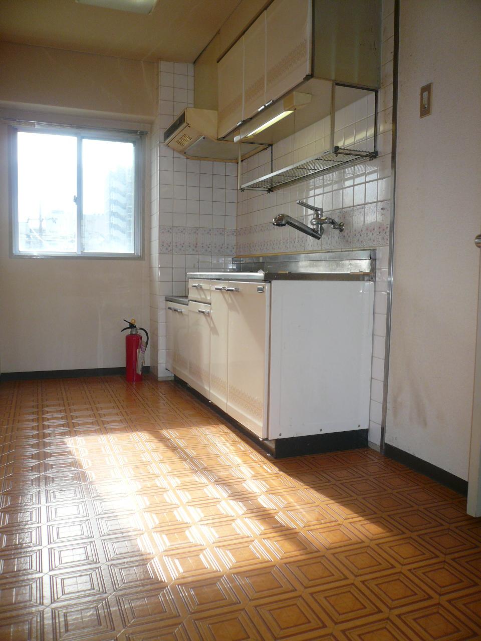 Kitchen. Indoor (12 May 2013) Shooting