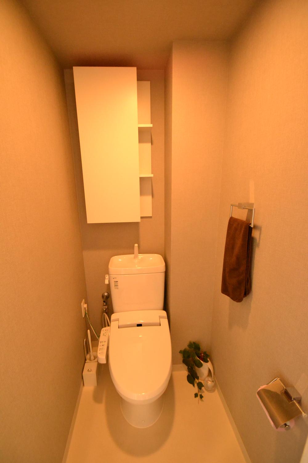 Toilet. Indoor (July 2013) Shooting