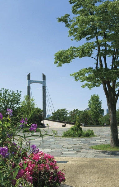 "Kiba park" About 480m / 6 mins