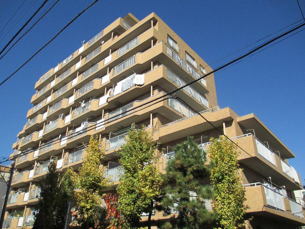 Local appearance photo. Local (11 May 2013) Shooting