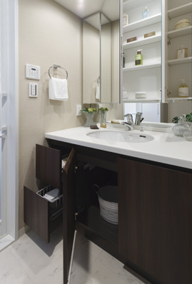 Plenty of lavatory well as storage space triple mirror back