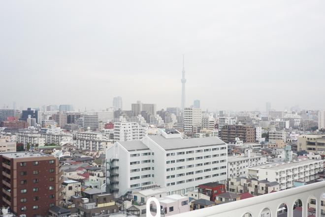 Other. Sky Tree is the room that looks