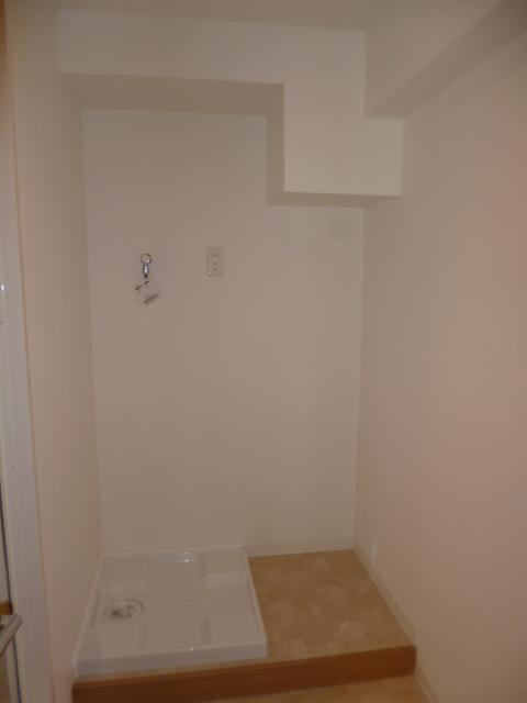 Wash basin, toilet. Indoor Laundry Storage