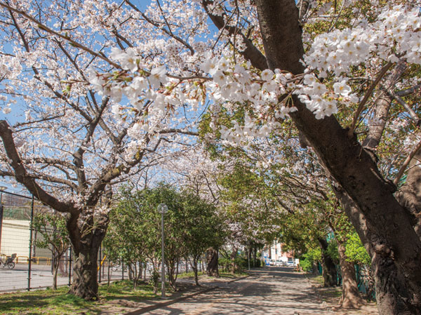 Surrounding environment. Minamisuna Third Street Park (7 min walk / About 550m)