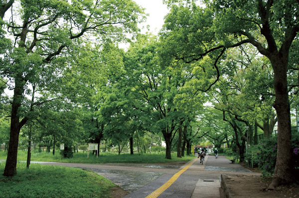 Other. Minamisuna Third Street Park (7 min walk / About 550m)