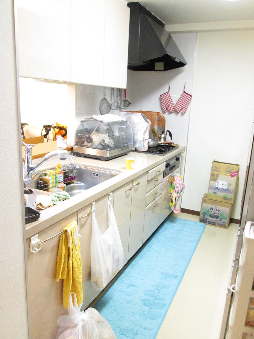 Kitchen. Built-in water purifier with system kitchen (about 4.1 Pledge)