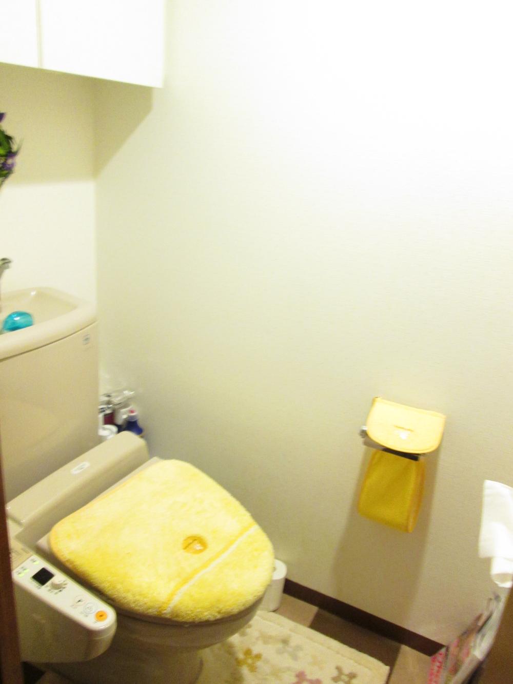 Toilet. Cleaning function toilet