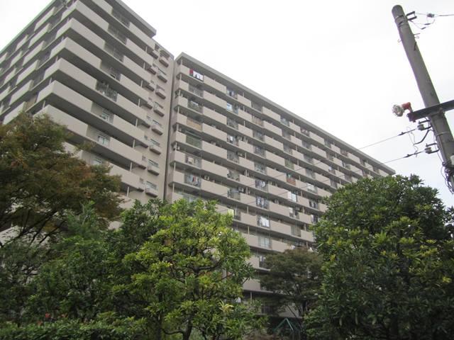 Local appearance photo. Local (11 May 2013) Shooting