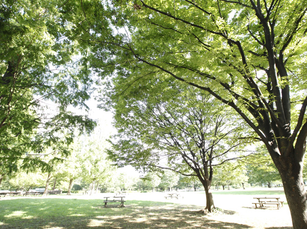 Surrounding environment. Adjacent to the old Nakagawa "Kameidochuokoen" is, 100,000 sq m or more of the Metropolitan park with a wide. While watching such as sasanqua and cherry, Family Fun spread the lunch on the lawn. There is day-to-day of such family is here. (Tokyo Metropolitan Kameidochuokoen / About 410m ・ 6-minute walk)