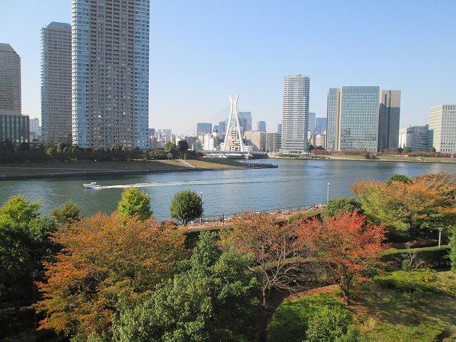 View photos from the dwelling unit. View from the site (November 2013) Shooting