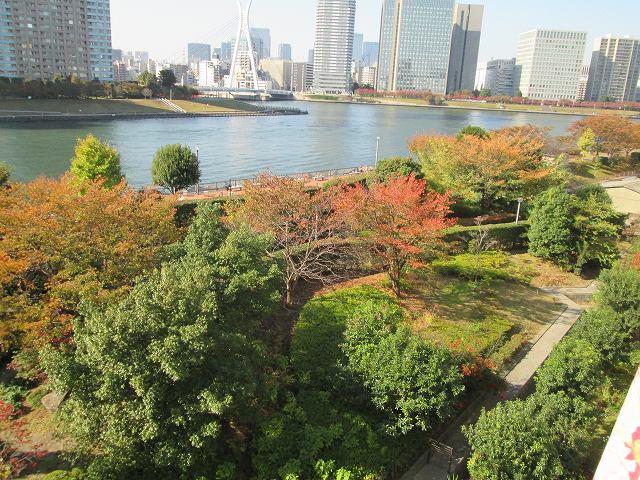 View photos from the dwelling unit. View from the site (November 2013) Shooting