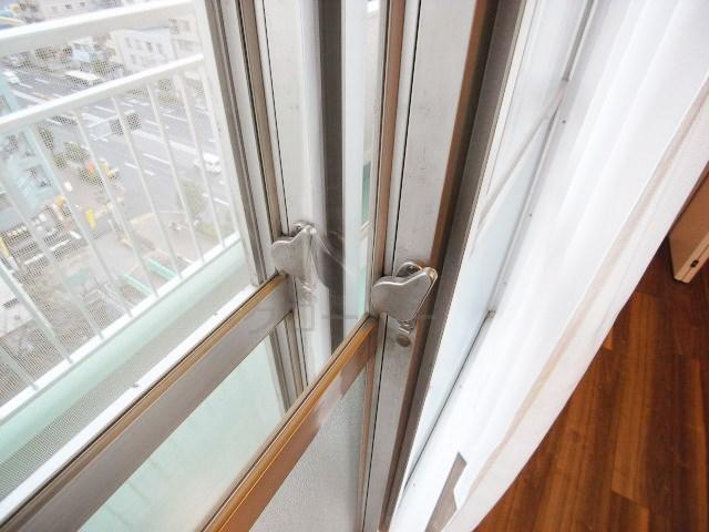 Other introspection. Double sash