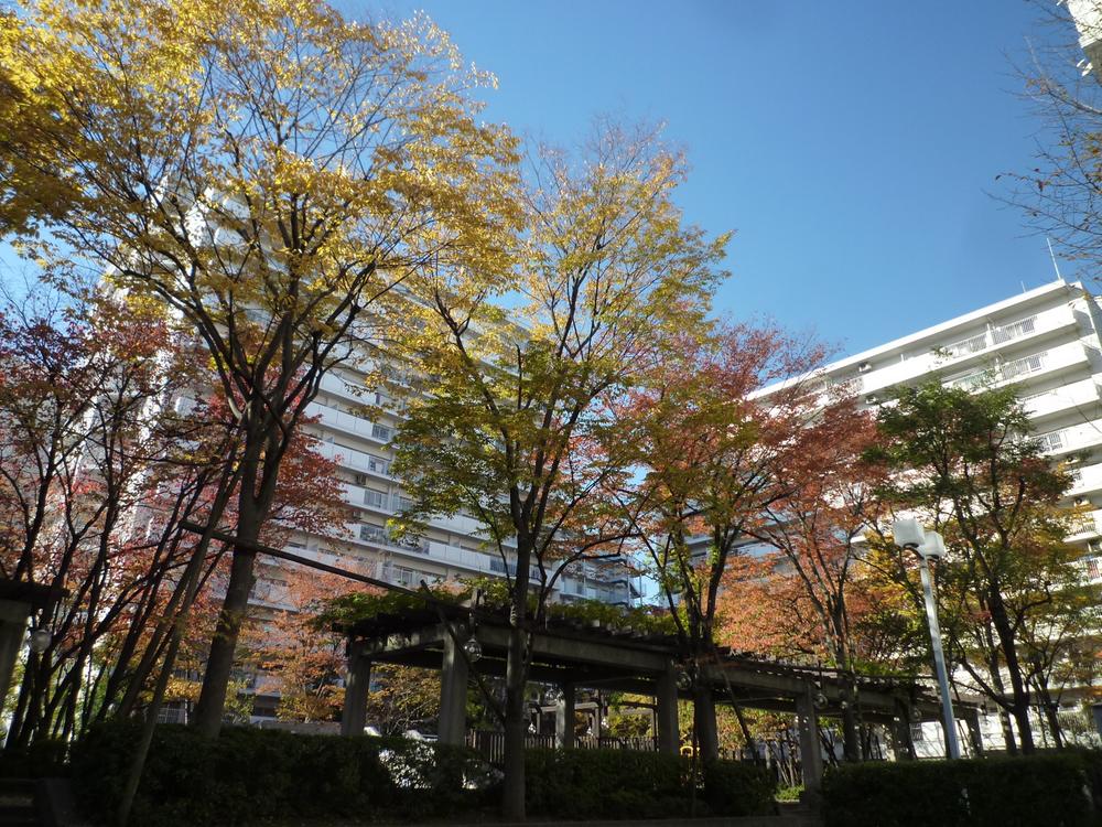 Other local. Local (11 May 2013) Shooting