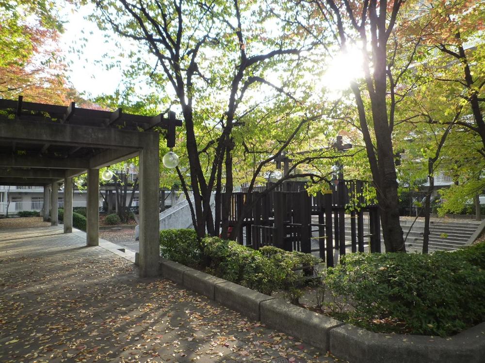 Other local. Local (11 May 2013) Shooting