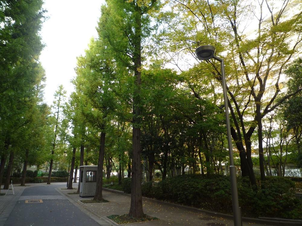 Other local. Local (11 May 2013) Shooting