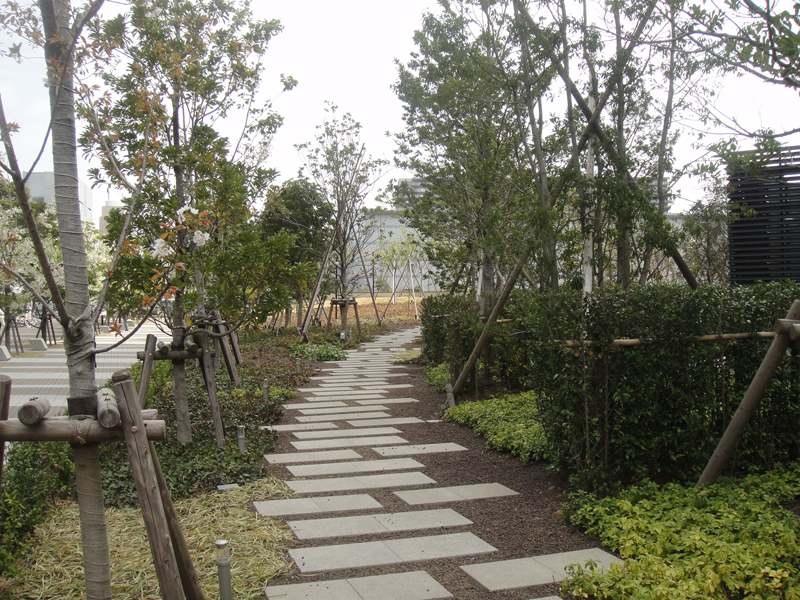 Features of the building.  [Canal Side Hill] Road leading to Canal Side Hill. Expressive canal views from the shade of a tree for us to cool to mind in the summer. Coloring and cherry trees in red in autumn. In spring bloom three types of cherry blossoms are fascinating flowers, Residents of the people and the cherry blossoms can be enjoyed in a long bench that take advantage of the relief. You can experience the arrival of the season while are in the city, We designed the natural flavor rich hill. (April 2011 shooting)