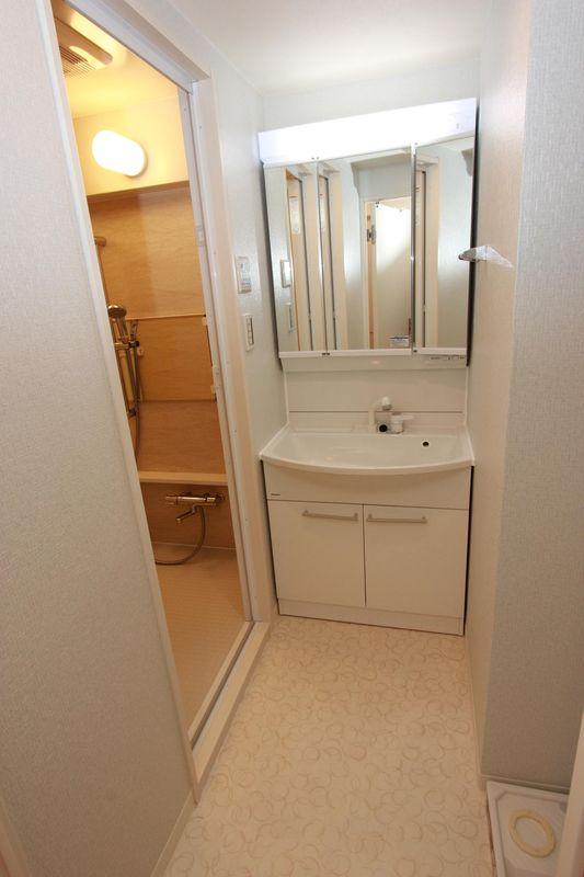 Wash basin, toilet. Washbasin with shower