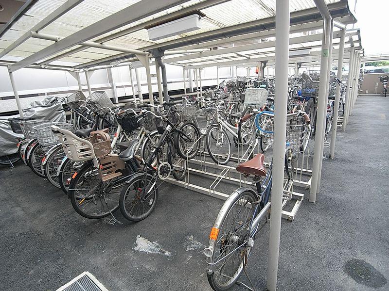 Parking lot. Bicycle-parking space