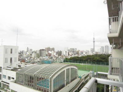 Koto-ku, Tokyo Sarue 2