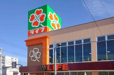 Koto-ku, Tokyo Sarue 2