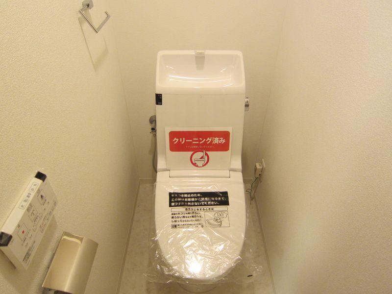 Toilet. Washlet toilet