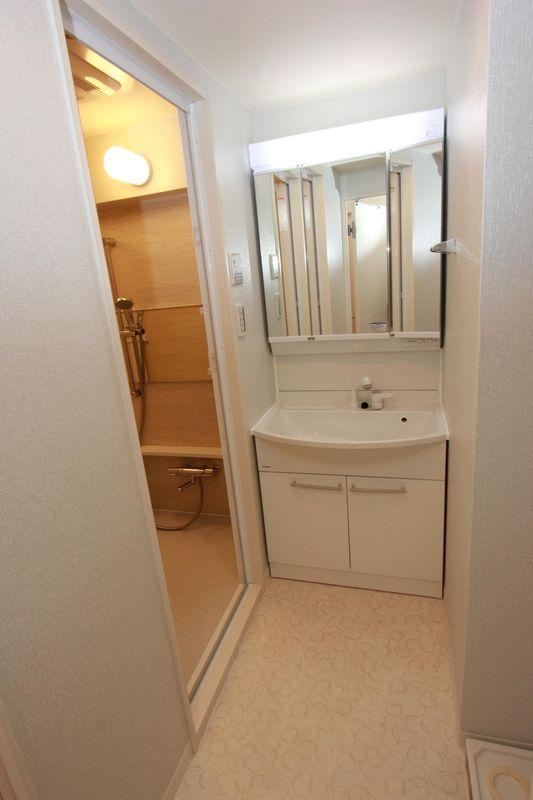 Wash basin, toilet. Sanitary room