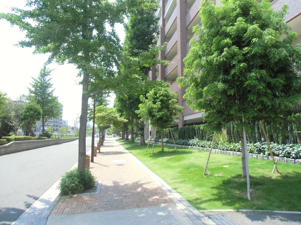 Other.  ■ Mansion front road