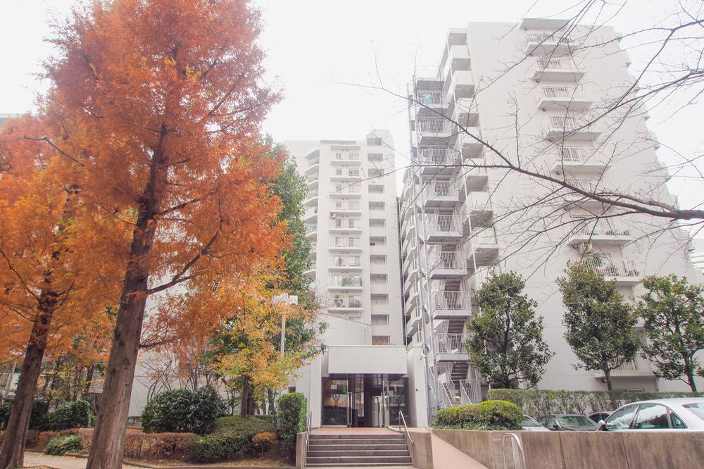 Local appearance photo. Local (12 May 2013) Shooting