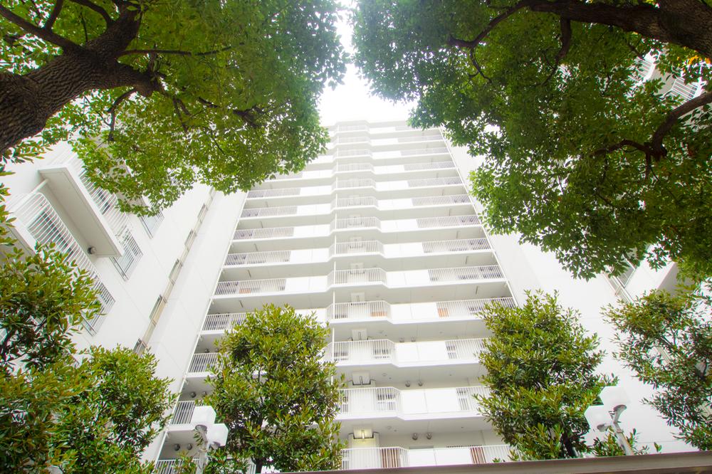 Local appearance photo. Local (12 May 2013) Shooting