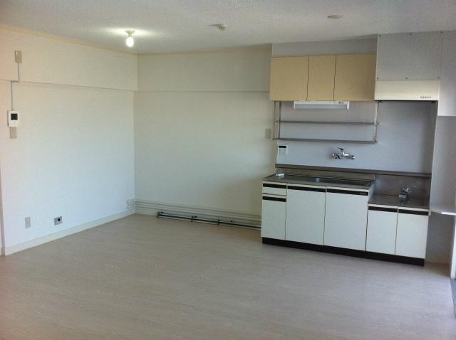 Living. Room (August 2013) Shooting