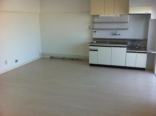 Kitchen. Room (August 2013) Shooting