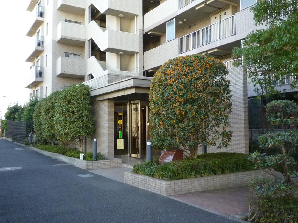 Local appearance photo