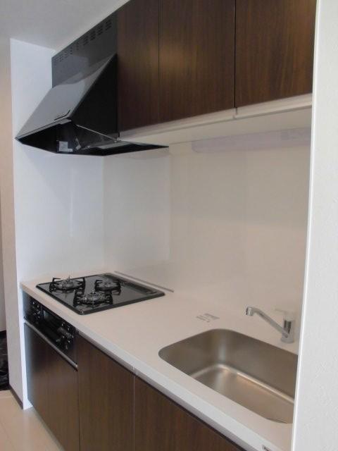 Kitchen. Indoor (11 May 2013) Shooting