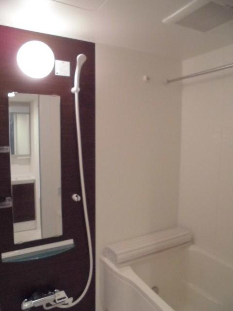 Bathroom. Indoor (11 May 2013) Shooting