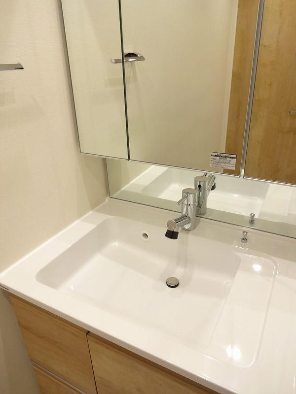 Wash basin, toilet. Bathroom vanity