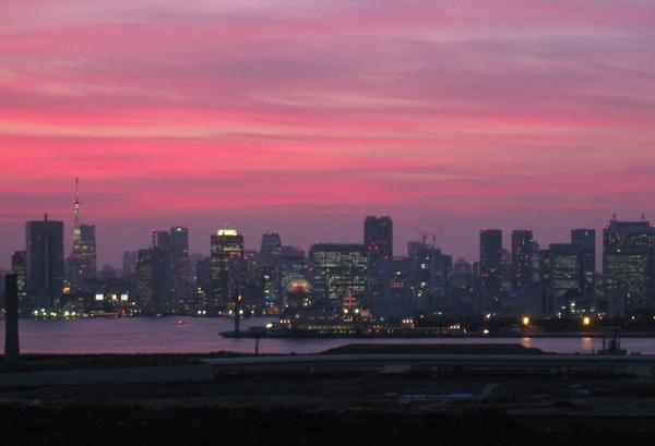 View photos from the dwelling unit. Tokyo Tower ・ evening