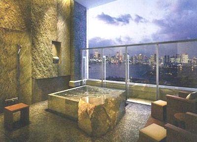 Other common areas. Open-air bath