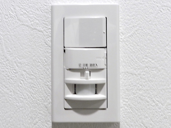 Other.  [Human sensor linked lighting] Installing the lighting to be turned on by sensing the presence of a person in the front door. Night of going out and coming home, It is safe even if you have the luggage in hand. (Same specifications)