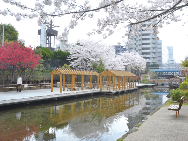 Surrounding environment. Kiba water park (about 780m / A 10-minute walk)